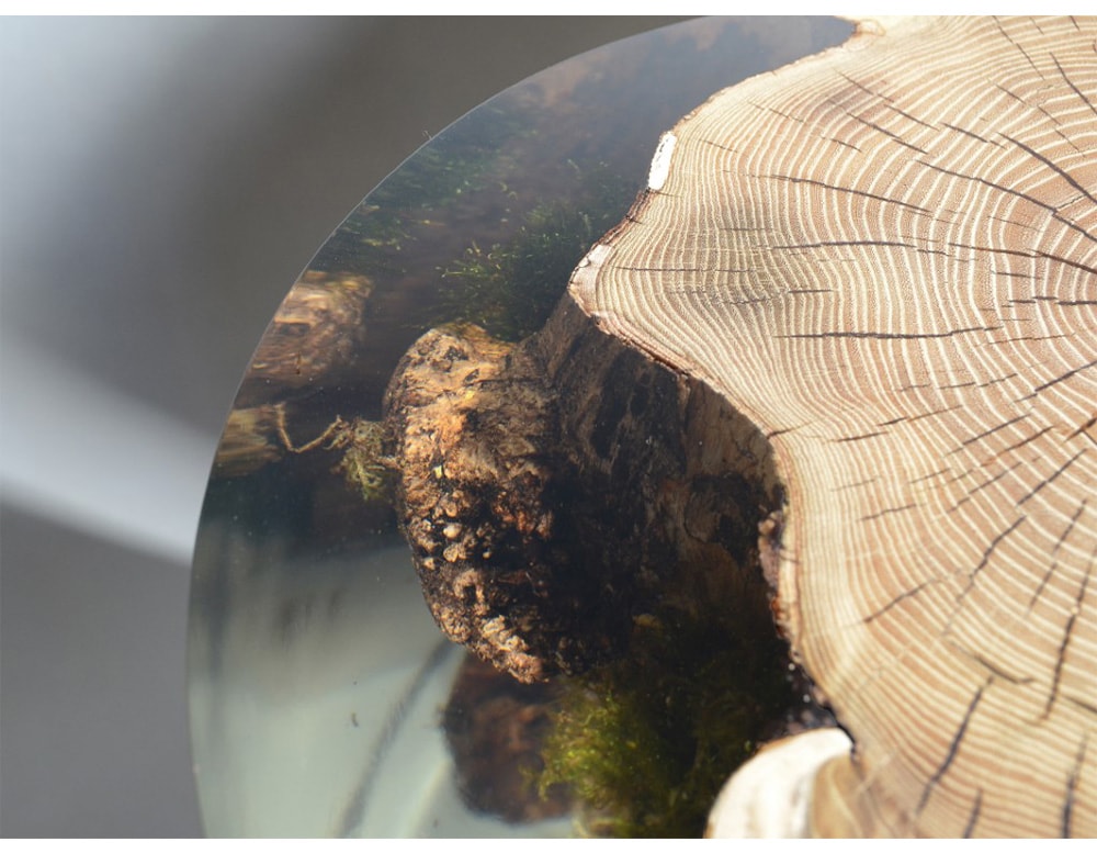 alc_surfacingstump_sidetable_005