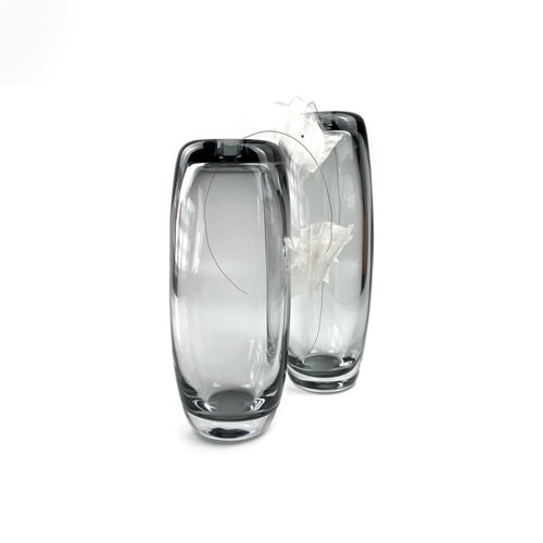 small long cylinders of transparent glass serving as a vase on a white background.