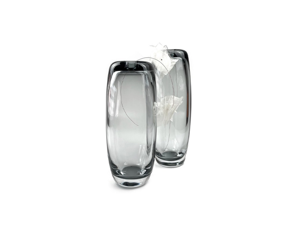 small long cylinders of transparent glass serving as a vase on a white background.