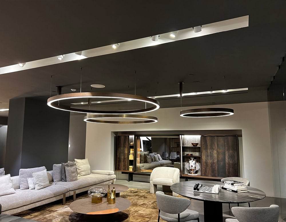 disp_Hen_Light_Ring_Horizontal_Suspension_Light_100_003