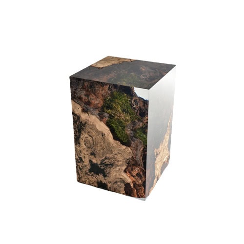 Chestnut Stump presents raw wood grain and moss fragments preserved in resin, shaped into a clean cube. The mix of natural detail and polished surface gives it a sculptural elegance.