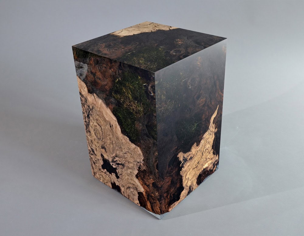 Chestnut Stump
