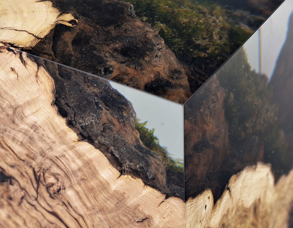 Chestnut Stump
