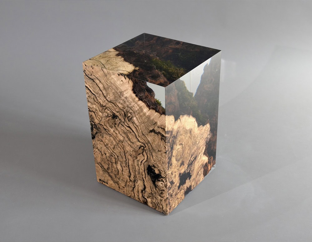 Chestnut Stump