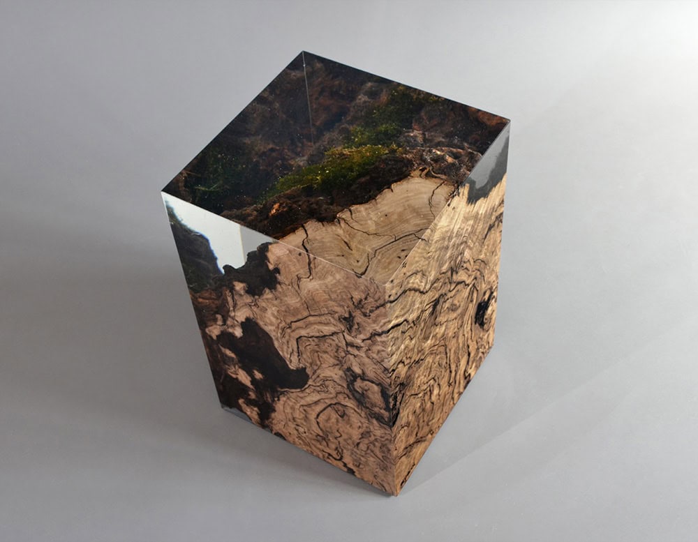 Chestnut Stump
