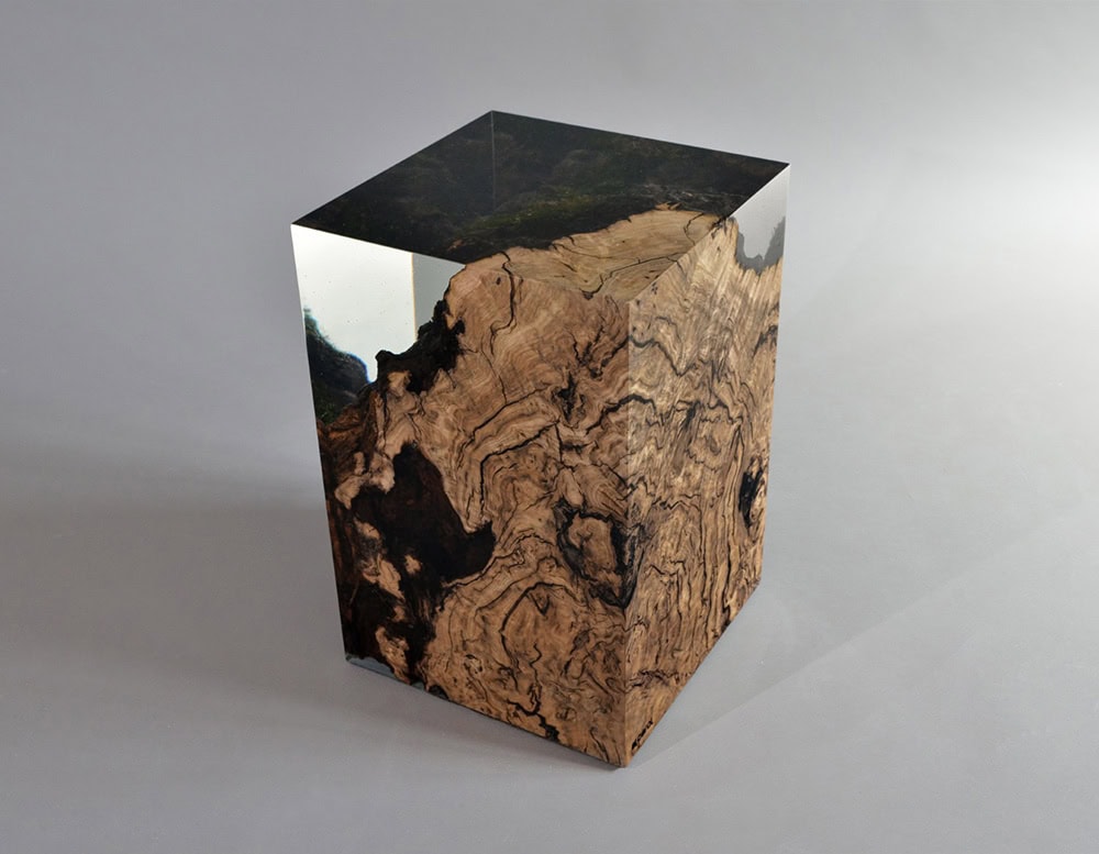 Chestnut Stump