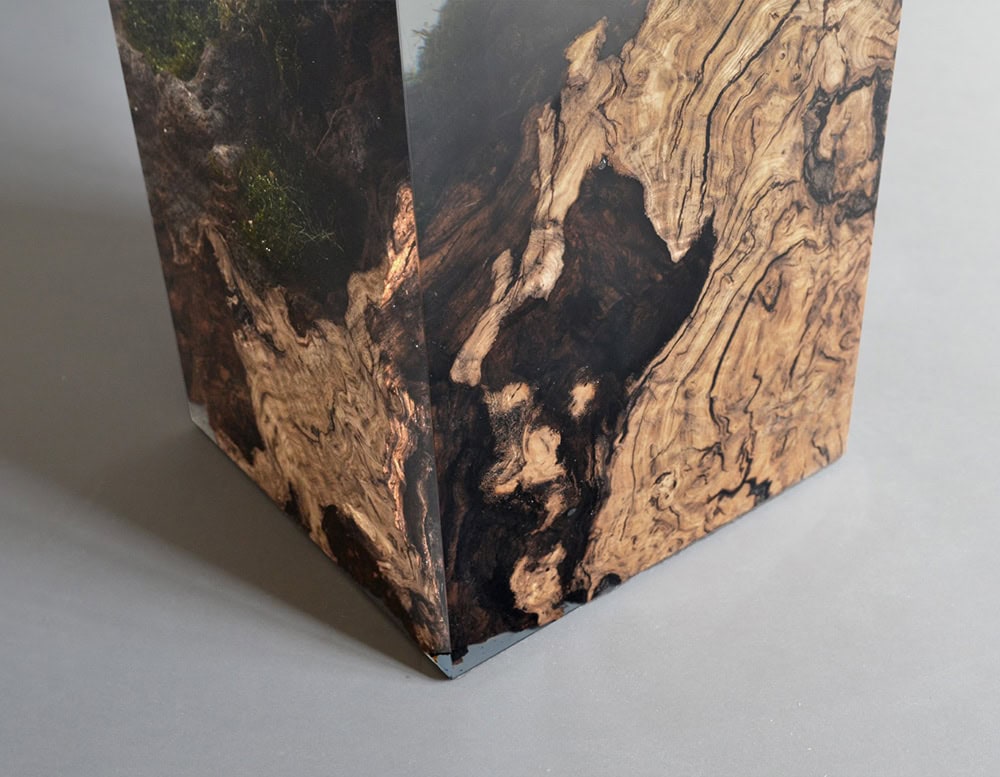 Chestnut Stump