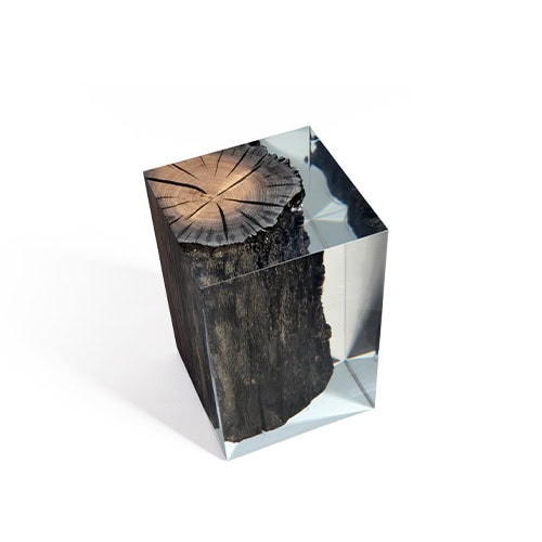 Wetland Stool combines preserved wood encased in crystal clear resin creating a striking balance between nature and design for a functional sculptural piece.