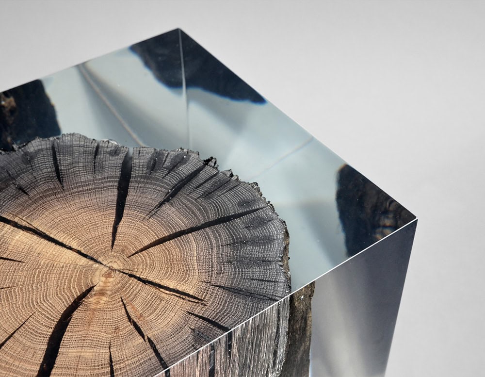 Wetland Stool