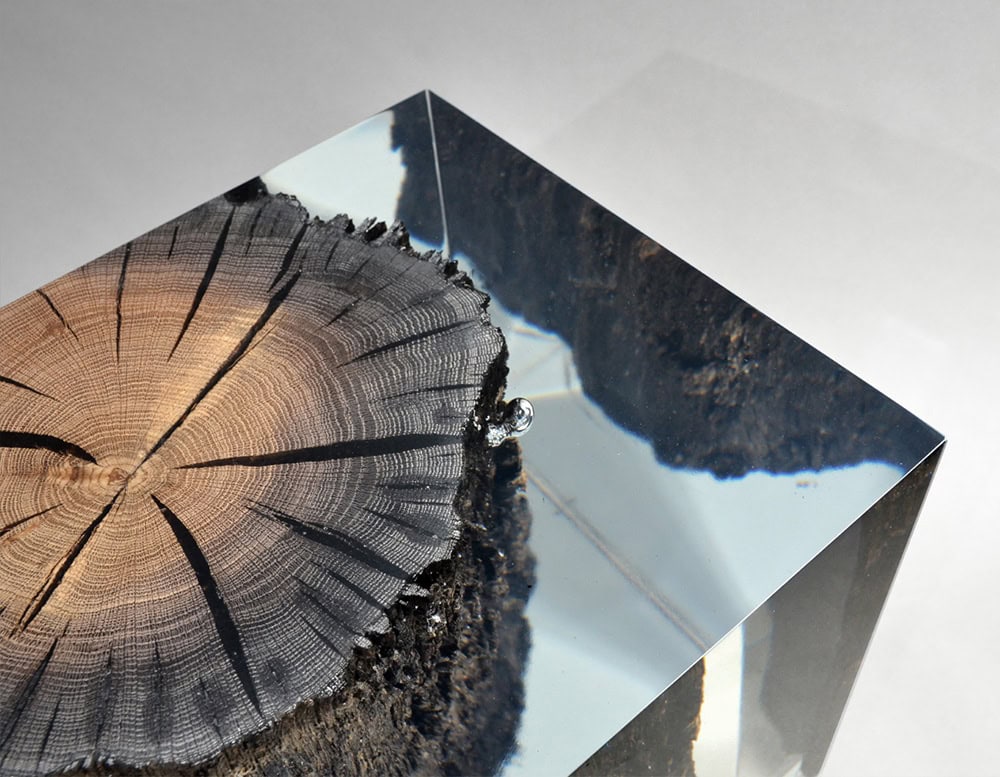 Wetland Stool
