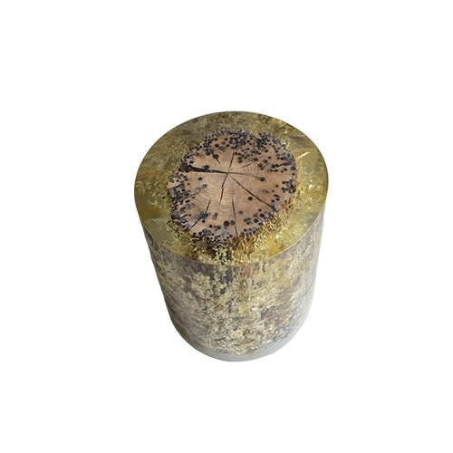 A cylinder of preserved nature the stool features a crosscut wood center with dark speckling held in a golden translucent resin that creates a luminous earthy presence.