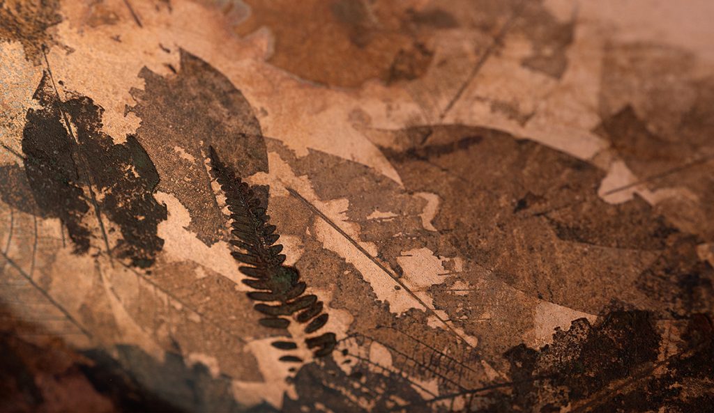 Leafprint Coffee Table features preserved leaves and fern impressions encapsulated within translucent resin. Rich natural textures and layered botanical details create depth, celebrating organic beauty through a refined contemporary design.